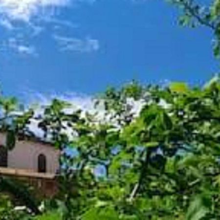 Il Gelsomino Home Holiday Alcamo Exterior foto