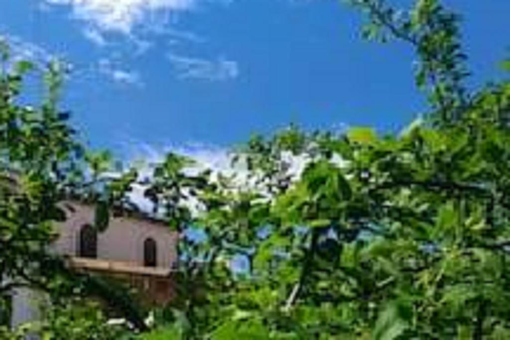 Il Gelsomino Home Holiday Alcamo Exterior foto
